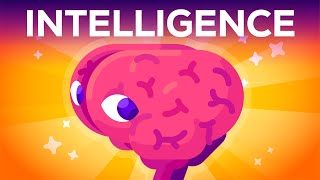 What Is Intelligence Where Does it Begin [upl. by Ybrik]