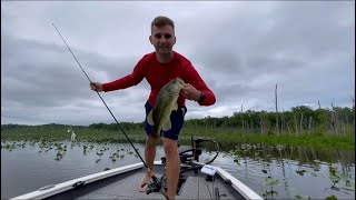 Mattawoman Creek Bass Fishing [upl. by Caassi]