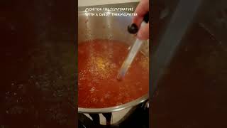 Nectarine Jam Recipe  Homemade Jam Recipe nectarine jamrecipe canninglife canning shortsvideo [upl. by Betthezul]