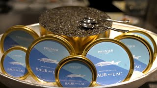 Reinvention of an Icon  A caviar tin marks the beginning [upl. by Anomahs]