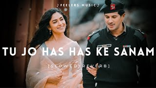 Tu Jo Has Has Ke Sanam  Slowed Reverb  Lofi Songs  Feelers Music [upl. by Yeliak]