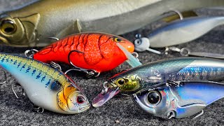 Top 5 Baits For February Bass Fishing [upl. by Charisse]