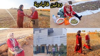 مربوحةالإصلاحات مزال مبدات ولالة حادة مرضات روتين فالبادية انا وميمتيRoutine in the desert [upl. by Bettye931]