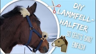 DIY LAMMFELLHALFTER  Lammfellhalfter selber machen  DIY Pferdezubehör selber machen  jb Horses [upl. by Burrton294]