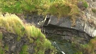 Childspit Beach Waterfall [upl. by Cassell303]