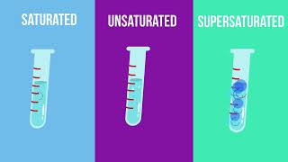 Saturated  Unsaturated and Supersaturated Solutions What is the difference [upl. by Danete]