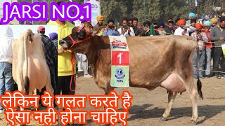 PDFA Mela 2021 Jersey No1 Breed Punjab [upl. by Hsitirb]