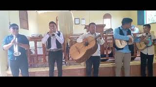 mariachi corderos de cristo [upl. by Oiruam]