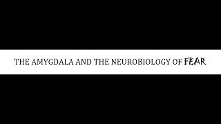 STAHLS  CH 9  PART 2  THE AMYGDALA AND NEUROBIOLOGY OF FEAR  psychiatrypsychopharmacology [upl. by Ludeman]