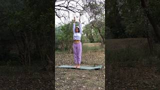 3 Asanas Beginners must do 🧘🏻‍♀️ shrimyog shreeyogini beginneryoga yogaforeveryone [upl. by Hazlett830]