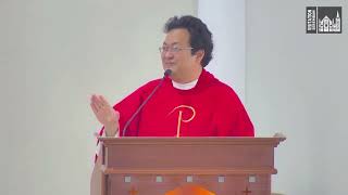 Homily English  Palm Sunday [upl. by Eniamrej]