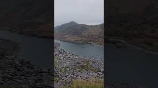 Hungarian Vizsla at Dinorwig quarry [upl. by Baiel]