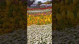 Canberra floriade [upl. by Yusuk606]