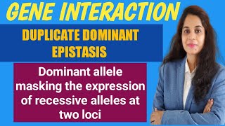 Duplicate dominant gene interaction Duplicate dominant epistasis [upl. by Raclima140]