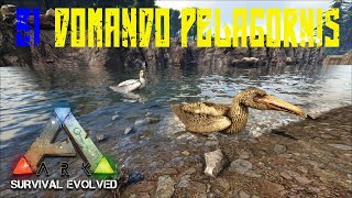 COMO DOMAR PELAGORNIS ARK SURVIVAL EVOLVED VANILLA  SÉRIE COMPLETA NO MAPA THE ISLAND 51 [upl. by Vasos655]