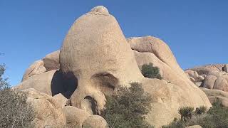 Joshua Tree National Park in April 2023 [upl. by Skell]