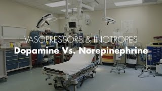 Dopamine vs Norepinephrine  Vasopressors amp Inotropes [upl. by Hardan759]