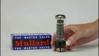 Mullard EL34 Tube [upl. by Kreit]