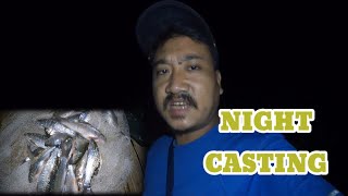 NIGHT CASTING NET FISHING  fishing with chotes [upl. by Demitria]