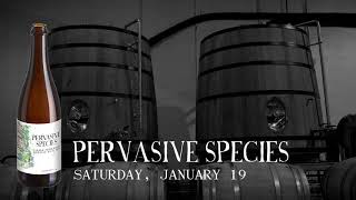 Pervasive Species  American Wild Ale [upl. by Anah]