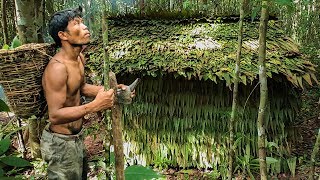 Primitive Technology Build houses in the forest using the leaves of trees  Leaf roof [upl. by Silvestro]