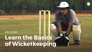 Learn the Basics of Wicketkeeping  Cricket [upl. by Ardnauqal]