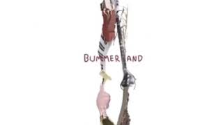 AJR  Bummerland Instrumental More AccurateWith Visualizer [upl. by Beghtol505]