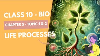 Class 10 Science  Chapter 5 Life Processes  Nutrition  NCERT Biology Reading  Topic 1 amp 2 [upl. by Chrisy833]