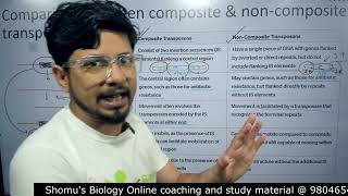 Composite and noncomposite transposons  The difference [upl. by Kelam478]