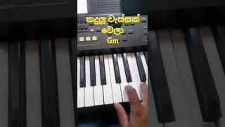 Kadulu wassak wela 🥺❤ keyboard 🎹 tutorial  lesson  notations  Sudam chamara [upl. by Dream]