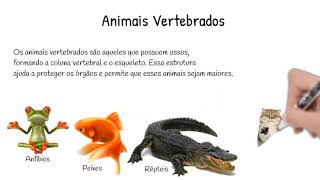 Animais Vertebrados e Invertebrados  Professora Maiza  3 quotAquot [upl. by Arrakat]