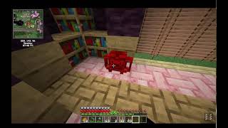 Mishmash SMP S1  Sebs dealing w villagers ft voices [upl. by Nywde866]