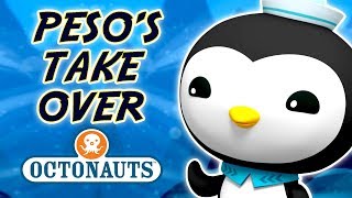 Octonauts  Pesos take over  Cartoons for Kids  Underwater Sea Education [upl. by Eelloh]