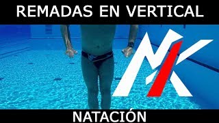 🏊 NATACIÓN VERTICAL ⏫ Capítulo 2 REMADA con los BRAZOS ✋🤚 Natación Alternativa y Complementaria [upl. by Mukul]