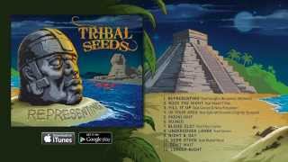 Tribal Seeds  Moonlight OFFICIAL AUDIO [upl. by Tirrej]