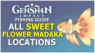 All SweetFlower Medaka Fish Locations  Genshin Impact [upl. by Androw414]