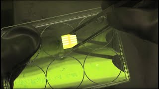 Constructing a perovskite solar cell [upl. by Amyaj]