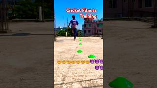 Cricket Fitness Training No Copyright Video Cricket Fitness Cricket Training [upl. by Mclyman458]