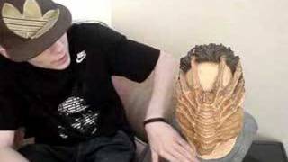 Palisades 11 Facehugger On Kane Original ALIEN bust review [upl. by Goff319]