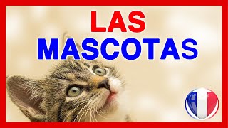 Las Mascotas en Francés 🚀 Todo el vocabulario de los animales domésticos en francés [upl. by Evelin]