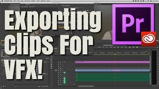 How To Export Clips Out Of Premiere Pro CC VFX Colorist  Perfect Post Production [upl. by Carthy850]