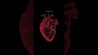 Heart Animation Using HTML CSS heartanimation shortvideo shorts youtubeshorts webdevelopement [upl. by Rafaelia]