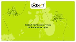 Ventilation system for bumblebee hives from Biobest [upl. by Ayeki]