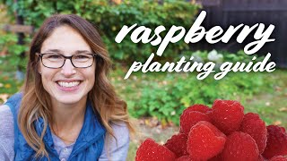 Raspberry Planting Guide  Soil Sun pH Fertilizing Growing amp Caring [upl. by Etnovad]