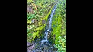 Mt Hood Wilderness OR [upl. by Ronel961]