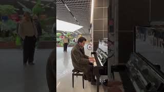 Musician Plays Heartfelt Performance Of Greensleeves At The Public Piano [upl. by Douty103]