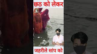 छठ पूजा के दौरान जहरीले सांप को सामने देखकर shorts chhathpuja [upl. by Atews]