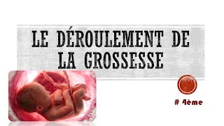 4e la grossesse [upl. by Arrek]