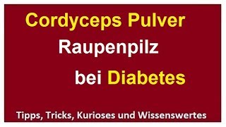 Cordyceps Pulver Extrakt Diabetes mildern TCM Raupenpilz Blutzuckerwerte senken Blutzucker [upl. by Ydnerb]