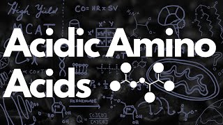 Acidic Amino Acids Aspartate amp Glutamate  MCAT [upl. by Becka572]